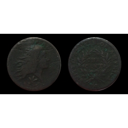 1793 Large Cent, Wreath S-9, VG-F Details